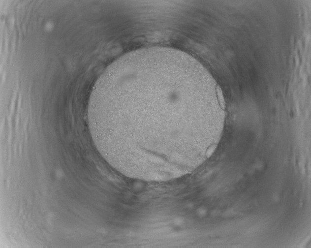 X0000074960913200609291909