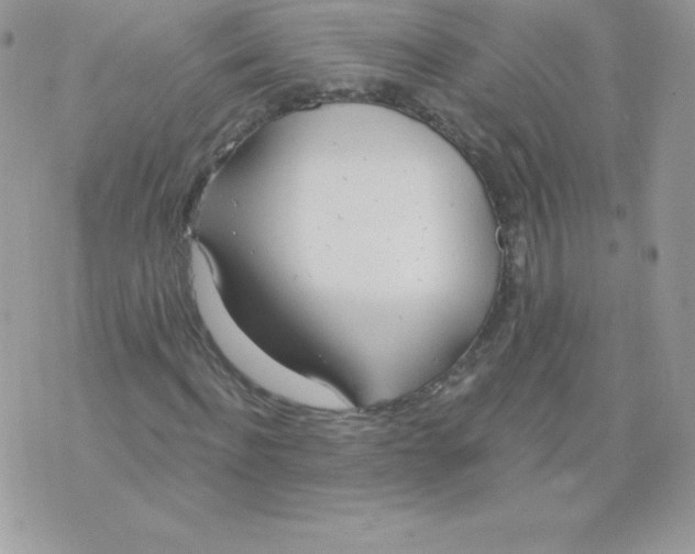 X0000074960916200609291909