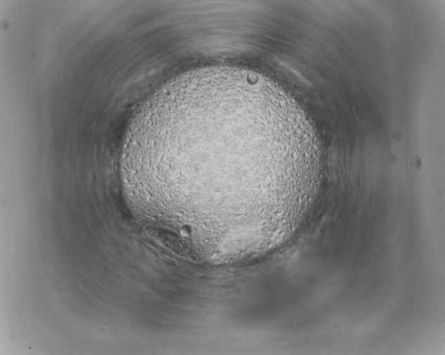 X0000074960917200609291909