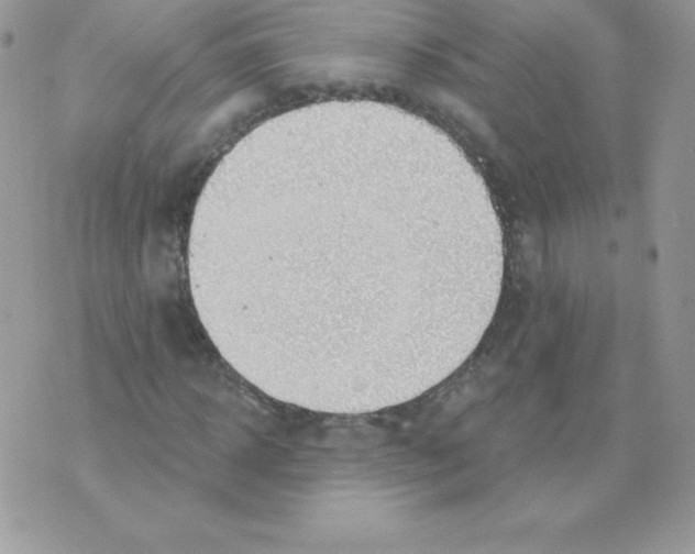 X0000074960918200609291909