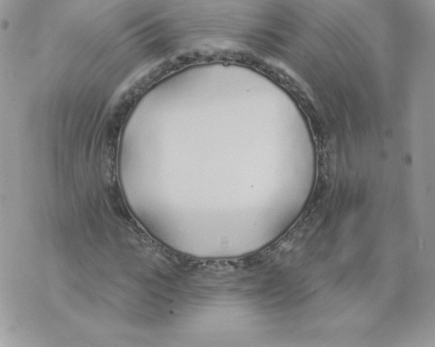 X0000074960919200609291909