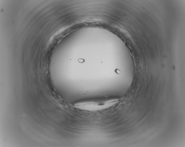 X0000074960920200609291909