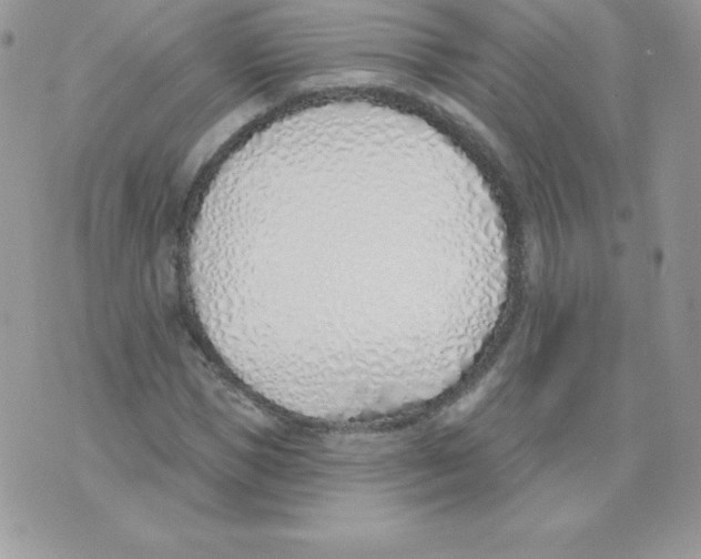 X0000074960921200609291909