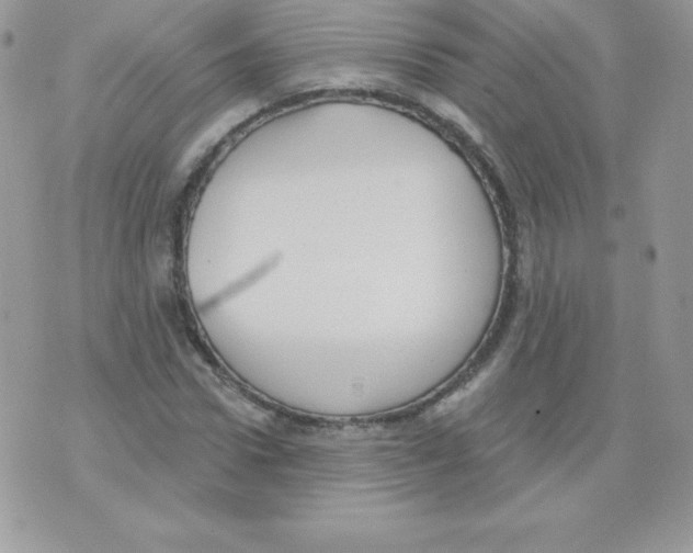 X0000074960922200609291909