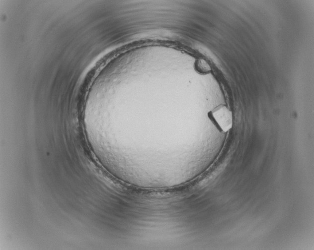 X0000074960923200609291909