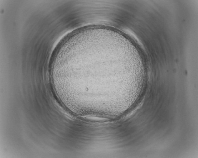 X0000074960924200609291909