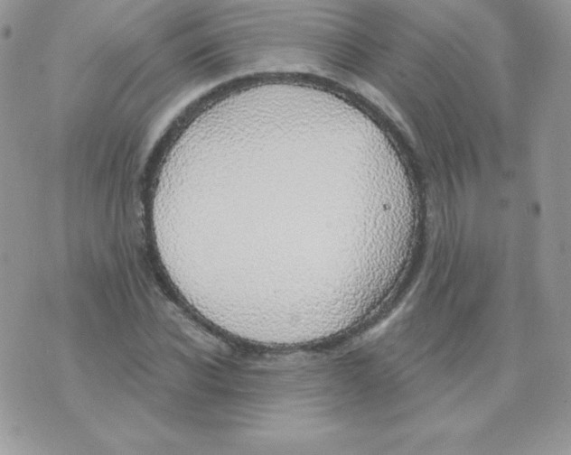 X0000074960926200609291909