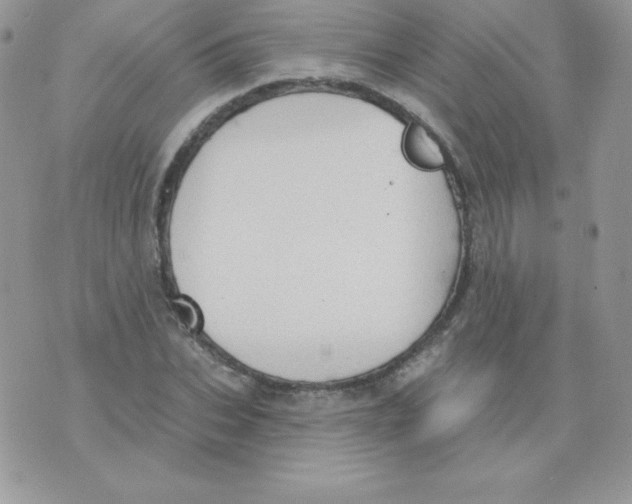 X0000074960927200609291909