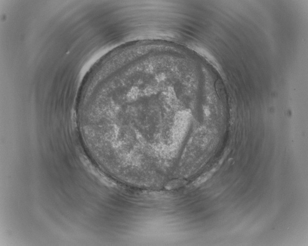 X0000074960928200609291909