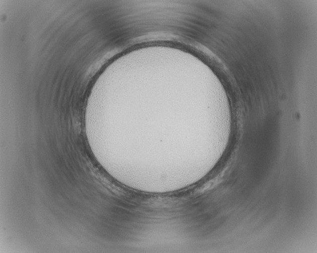 X0000074960929200609291909