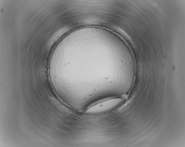 X0000074960930200609291909