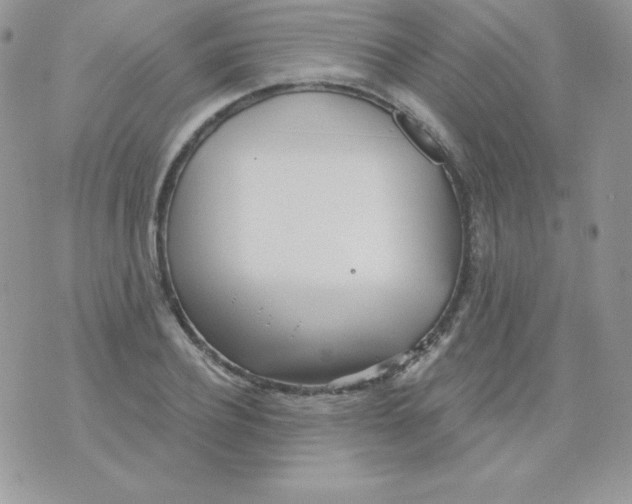 X0000074960932200609291909