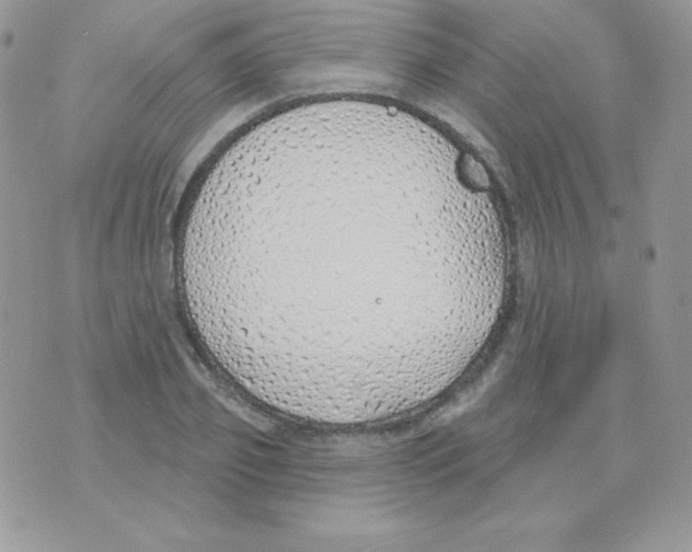 X0000074960933200609291909