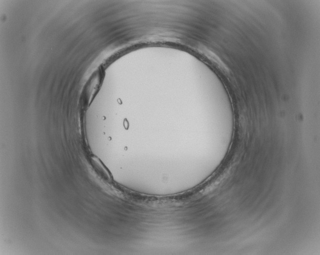 X0000074960934200609291909