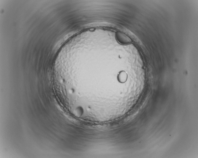 X0000074960937200609291909