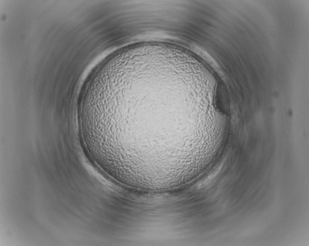 X0000074960939200609291909