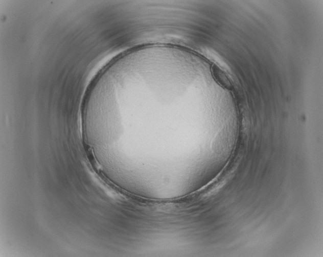 X0000074960940200609291909