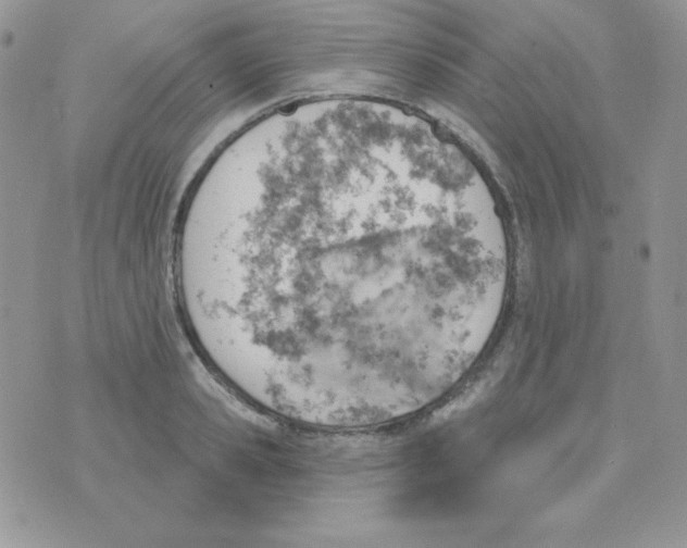 X0000074960941200609291909