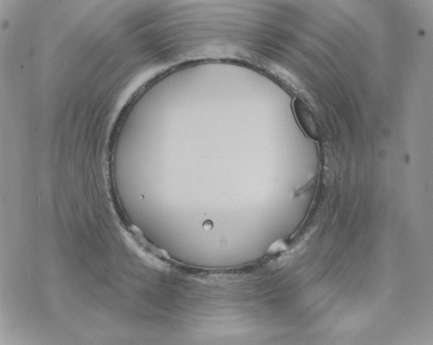 X0000074960942200609291909