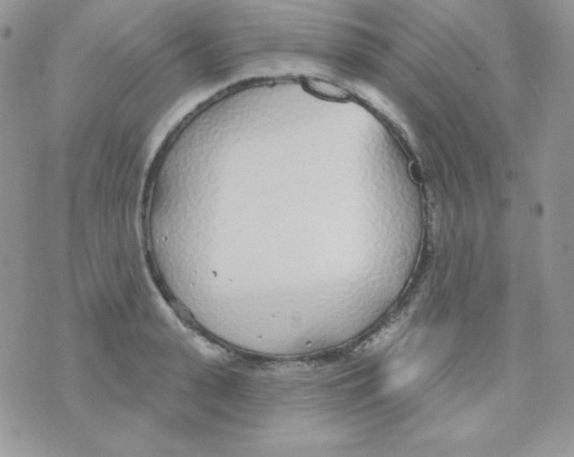 X0000074960943200609291909