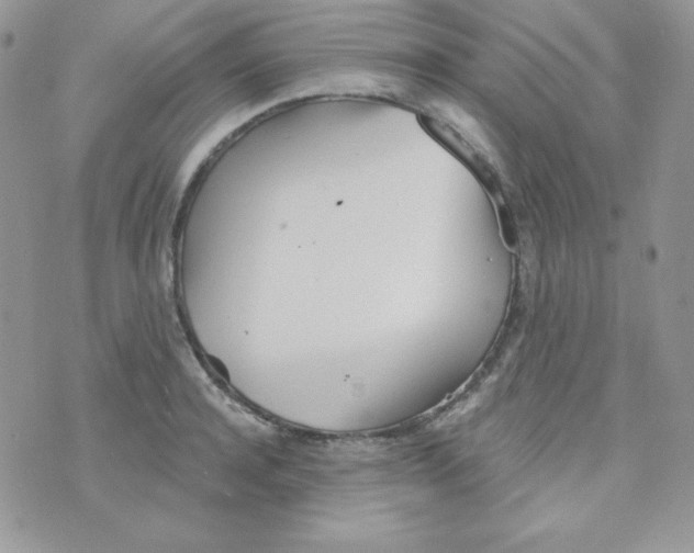 X0000074960944200609291909