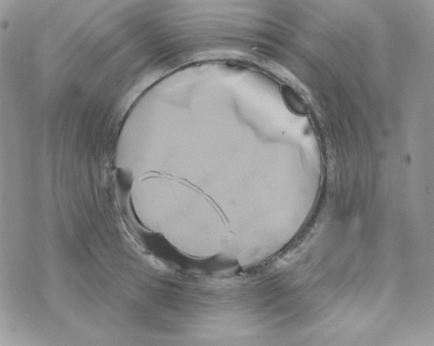 X0000074960945200609291909