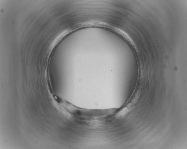 X0000074960946200609291909