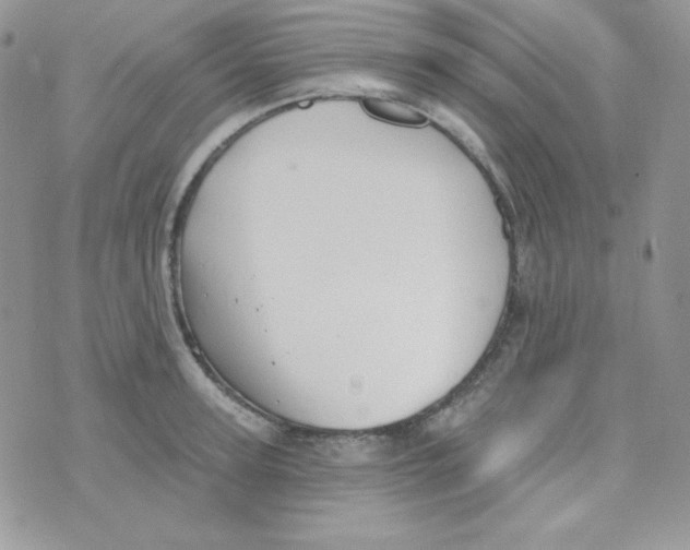 X0000074960947200609291909