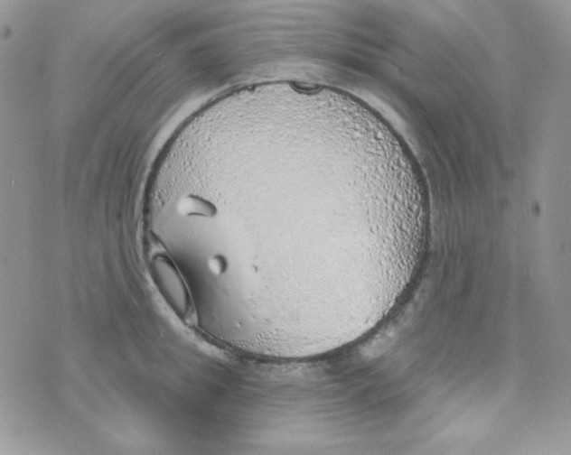 X0000074960949200609291909