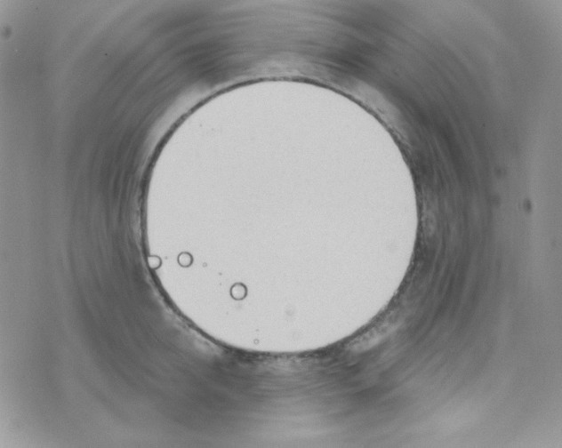 X0000074960950200609291909