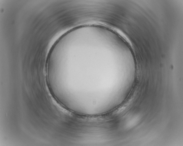 X0000074960951200609291909