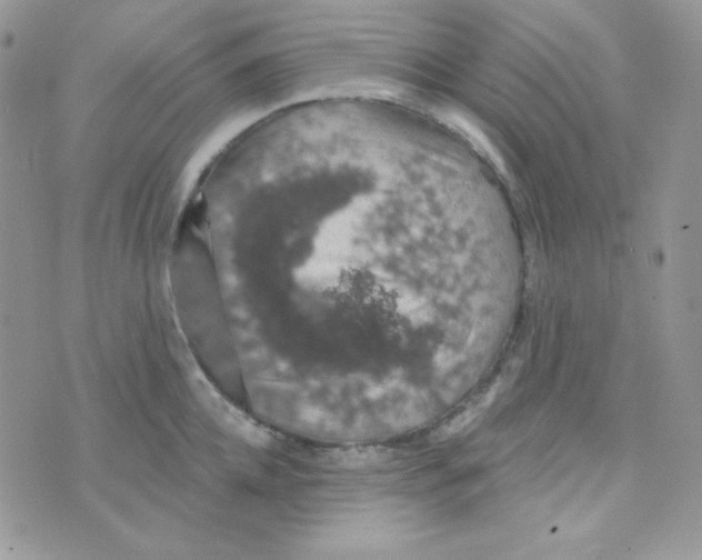 X0000074960952200609291909