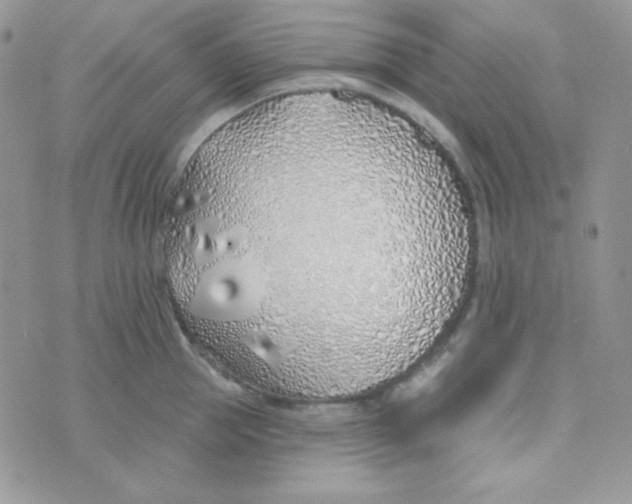 X0000074960953200609291909