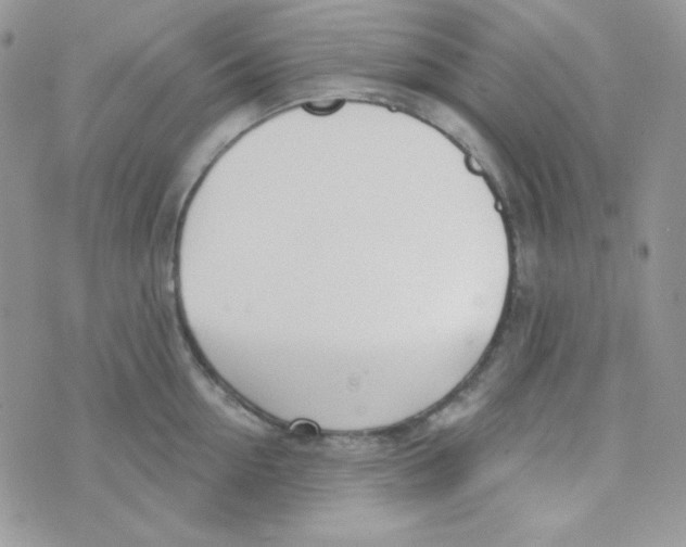 X0000074960954200609291909