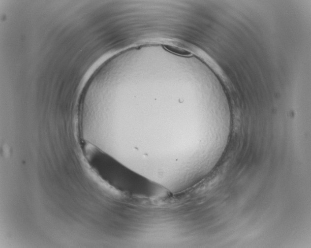 X0000074960955200609291909