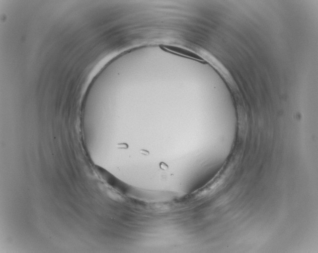 X0000074960956200609291909