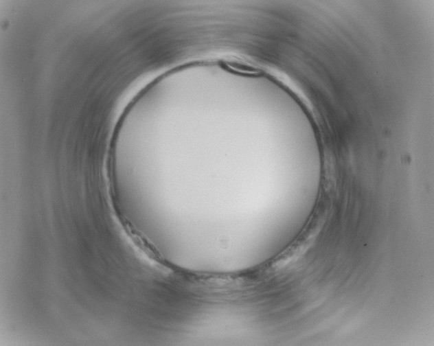 X0000074960959200609291909