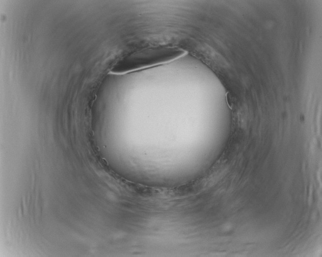 X0000074960961200609291909