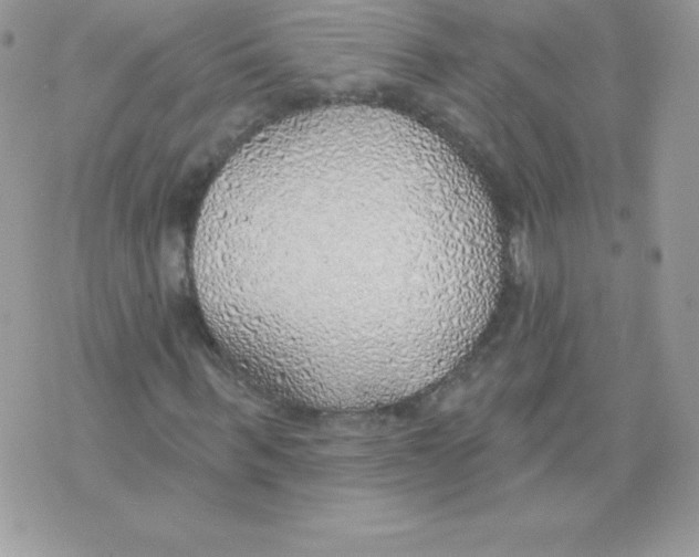 X0000074960963200609291909