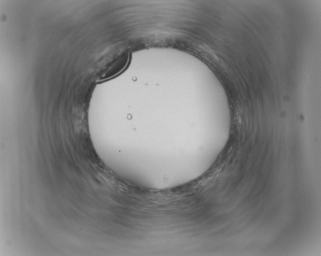 X0000074960964200609291908