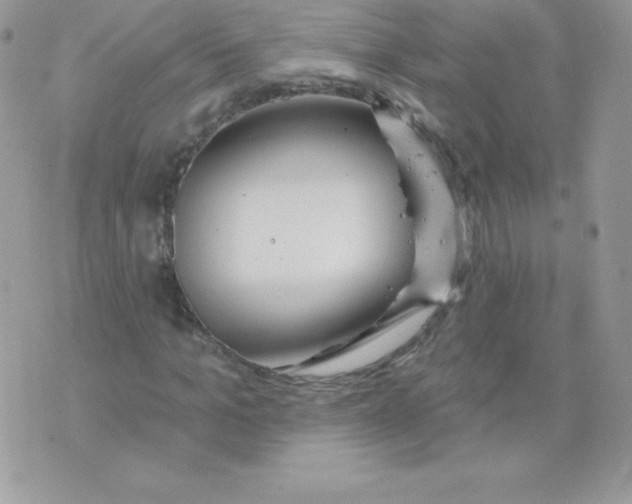 X0000074960965200609291908