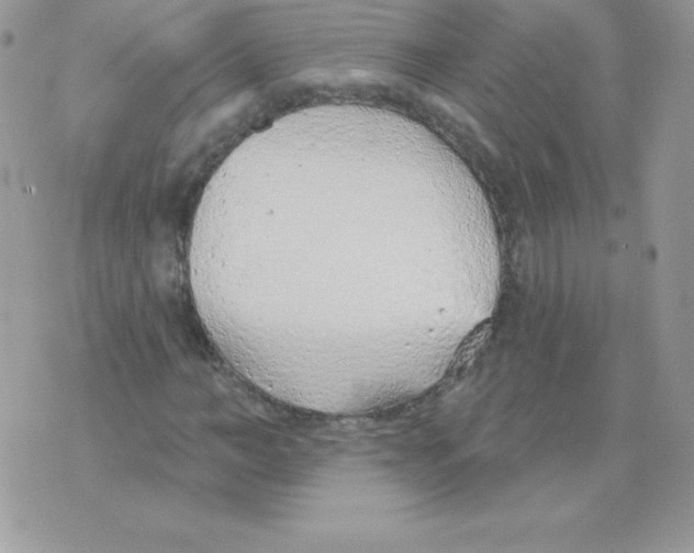 X0000074960966200609291908