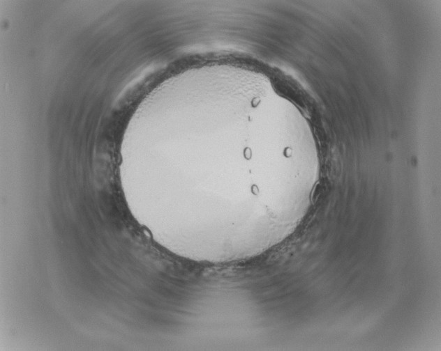 X0000074960967200609291908