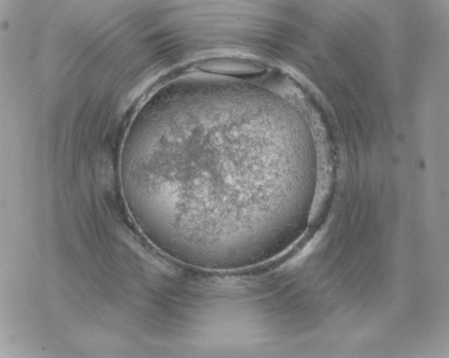 X0000074960969200609291908