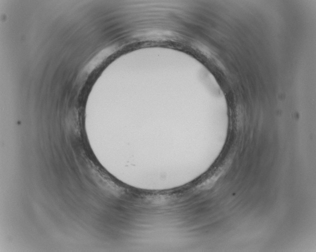 X0000074960970200609291908