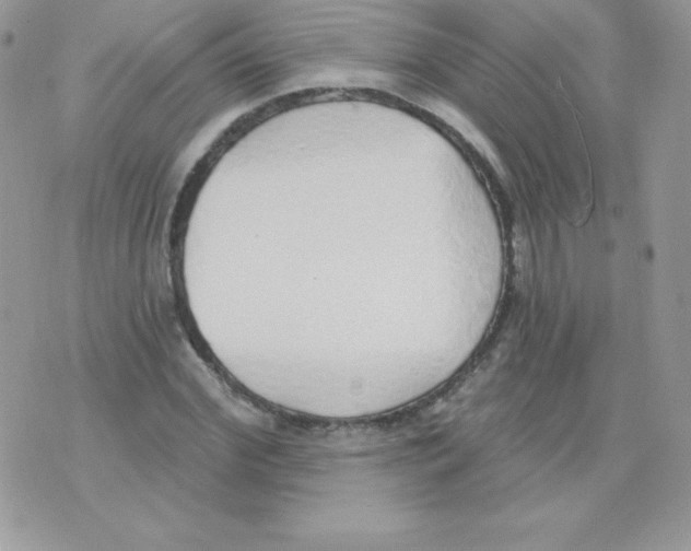 X0000074960972200609291908