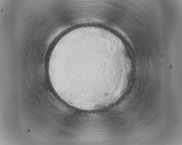 X0000074960975200609291908