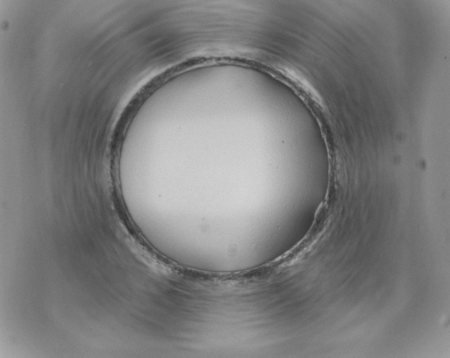 X0000074960976200609291908