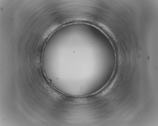 X0000074960977200609291908