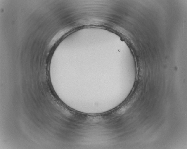 X0000074960978200609291908